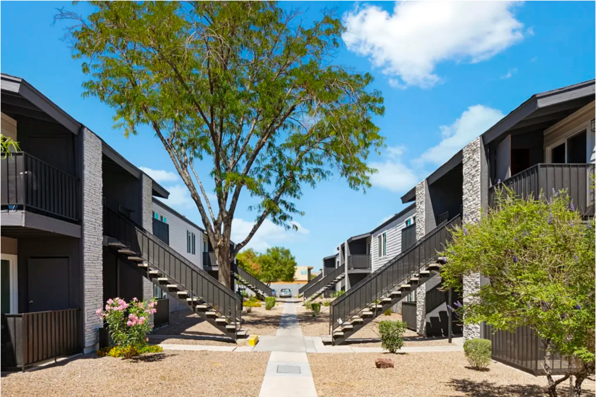 Landscaped courtyard at SITE Fifty55, Las Vegas, NV